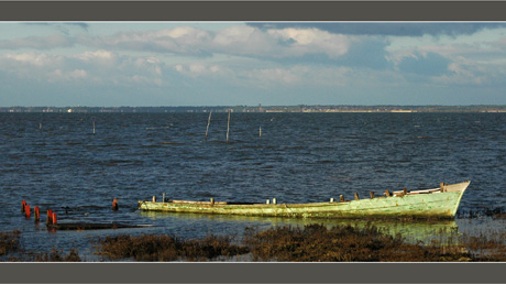 BLOG-DSC_5928-épaves Barbotière