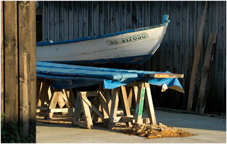 BLOG-DSC_5934-rec-proue et trétaux Gujan