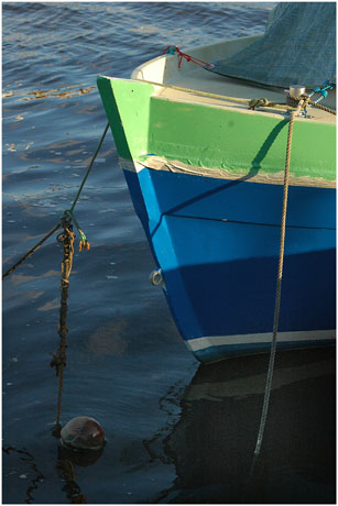 BLOG-DSC_5941-proue vert pomme Gujan