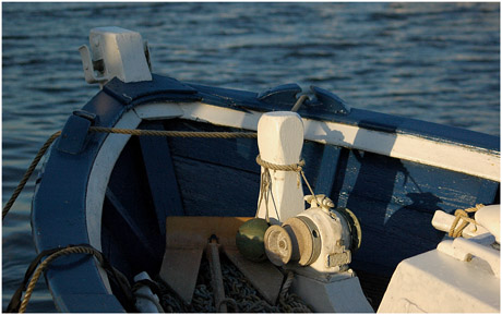 BLOG-DSC_5943-bateau bleu-blanc Gujan