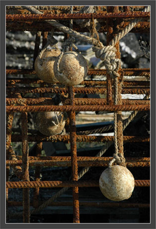 BLOG-DSC_5984-bouées et supports collecteurs