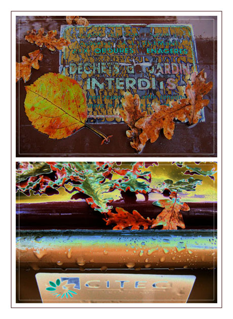 BLOG-IMG_0889-0890-poubelle feuilles