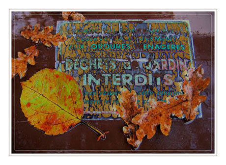 BLOG-IMG_0889-déchets jardin interdits 2