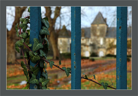 BLOG-DSC_6040-grille château Teich