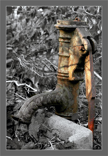 BLOG-DSC_6095-fontaine parc ornitho