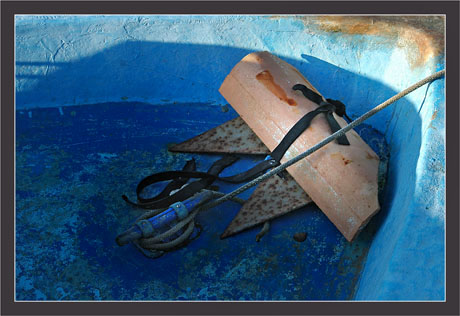 BLOG-DSC_6170-fond barque bleue barbotière
