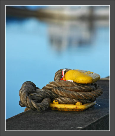 BLOG-DSC_6172-quai Barbotière