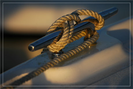 BLOG-DSC_6260 BLOG-DSC_6260