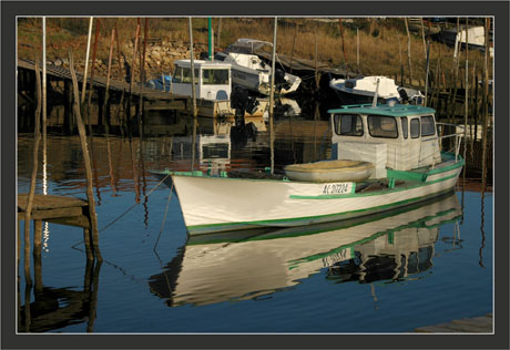 BLOG-DSC_6291-bateau blanc-vert