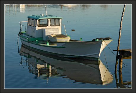 BLOG-DSC_6293-bateau blanc-vert