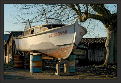 BLOG-DSC_6294-pinasse en réfection et cabane