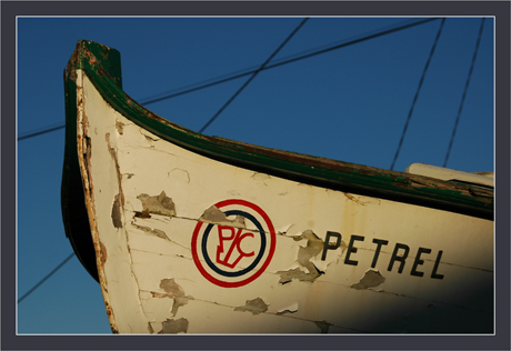 BLOG-DSC_6304-proue Petrel ciel et fils élec.