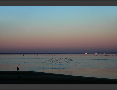 BLOG-DSC_6331-pêcheur rcachon et vol bécasseaux au couchant