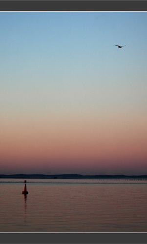 BLOG-DSC_6338-bouée Arcachon, mouette, Bassin au couchant BLOG-DSC_6338-bouée Arcachon, mouette, Bassin au couchant
