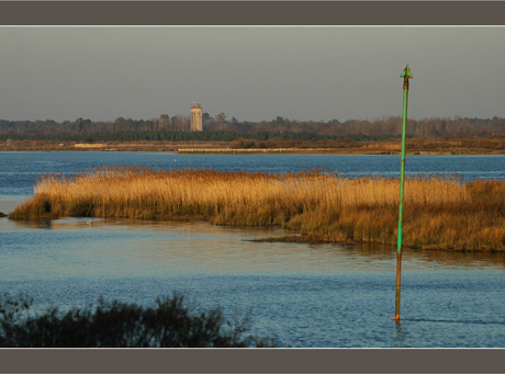 BLOG-DSC_6359-embouchure Leyre, Bassin et Audenge