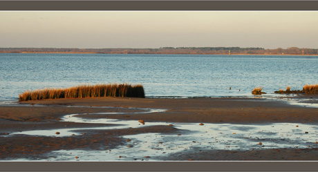 BLOG-DSC_6365-plage face domaine Graveyron
