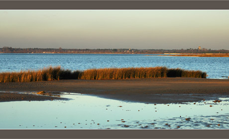 BLOG-DSC_6368-embouchure Leyre, Bassin et Audenge