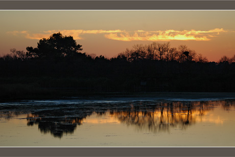 BLOG-DSC_6401-crépuscule sur parc ornitho