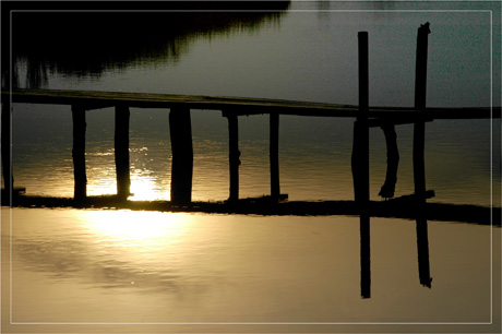 BLOG-DSC_6420-pont de bois soleil 2008