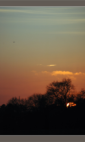 BLOG-DSC_6491-petit avion et coucher de soleil derrière chêne