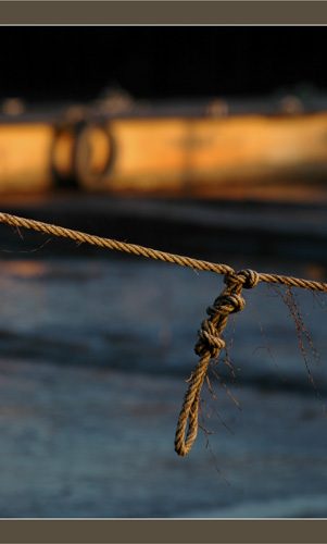 BLOG-DSC_6519-corde et ponton jaune