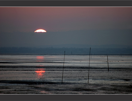 BLOG-DSC_6549-couchant Bassin marée basse