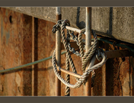 BLOG-DSC_6565-échelle et corde