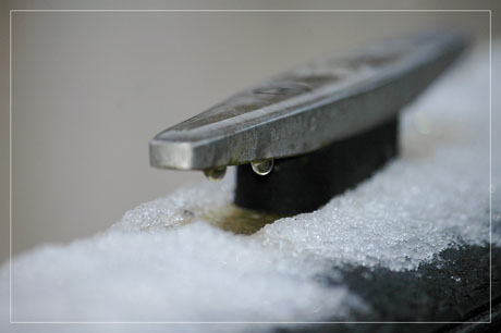 BLOG-DSC_6576-taquet et neige