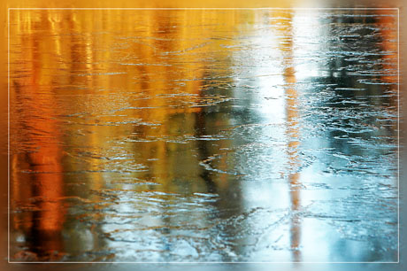 BLOG-DSC_6642-reflet forêt étang gelé