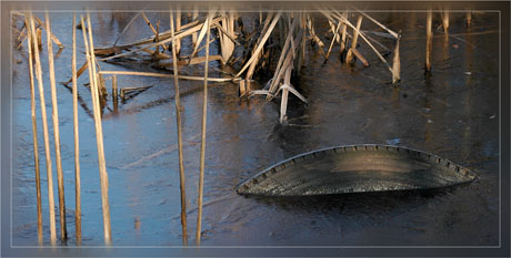 BLOG-DSC_6669-pneu roseaux étang gelé