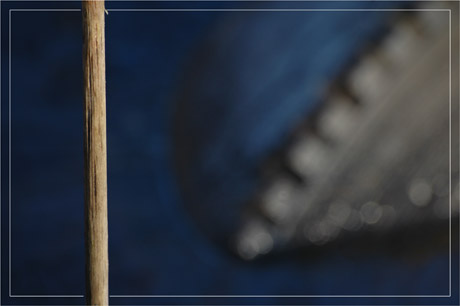 BLOG-DSC_6672-tige et pneu flou