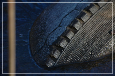 BLOG-DSC_6673-tige floue et pneu