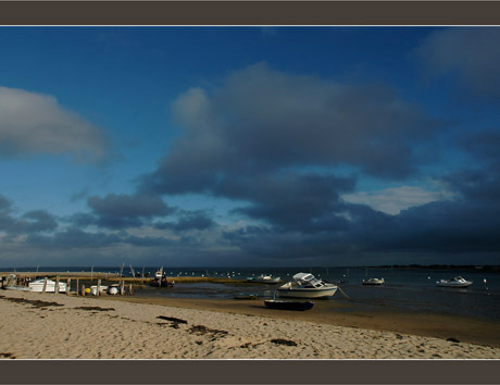 BLOG-DSC_6836-rivage Aiguillon Est