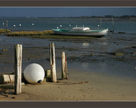 BLOG-DSC_6838-piquets, bouée blanche et pinasse