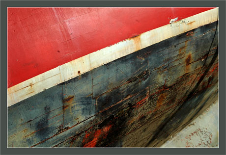 BLOG-DSC_6881-vieille coque retournée