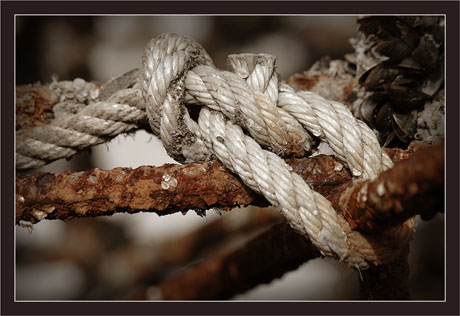 BLOG-DSC_6901-corde rouille sépia