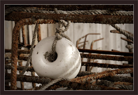 BLOG-DSC_6903-bouée et piquets métal sépia