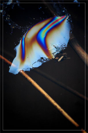 BLOG-DSC_6960-hydrocarbures et roseaux BLOG-DSC_6960-hydrocarbures et roseaux