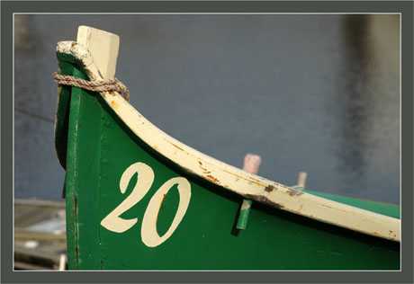 BLOG-DSC_6907-coque verte 20