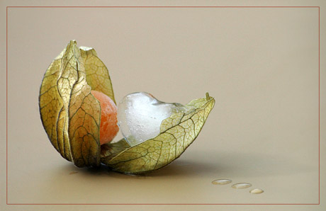 BLOG-DSC_7092-amour en cage et coeur glace