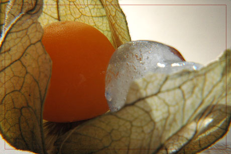 BLOG-DSC_7102-amour en cage et coeur glace