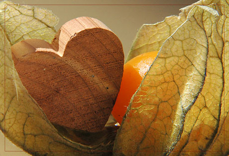 BLOG-DSC_7106-amour en cage et coeur bois