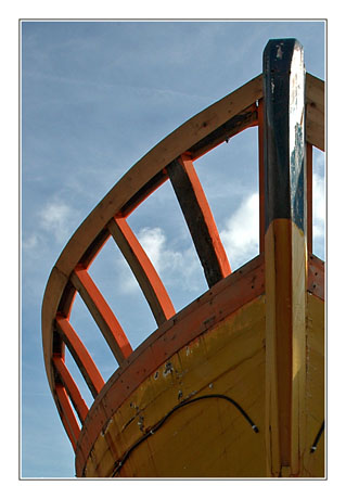 BLOG-DSC_7323-proue jaune