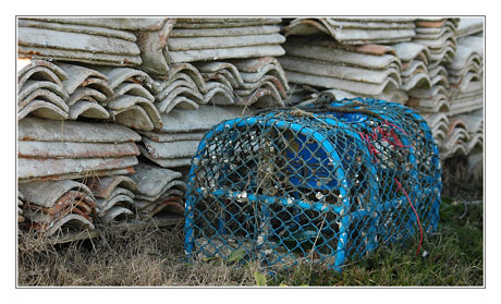 BLOG-DSC_7437-panier à crabes et tuiles chaulées