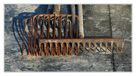 BLOG-DSC_7492-rateaux sur plate alu