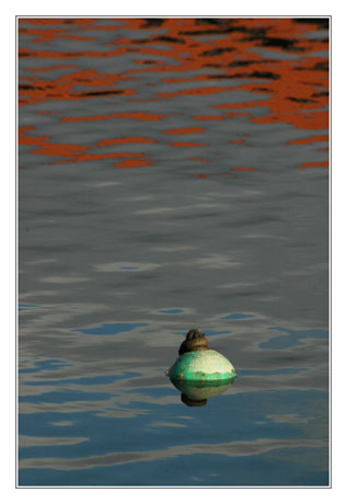 BLOG-DSC_7496-bouée verte et reflets rouges