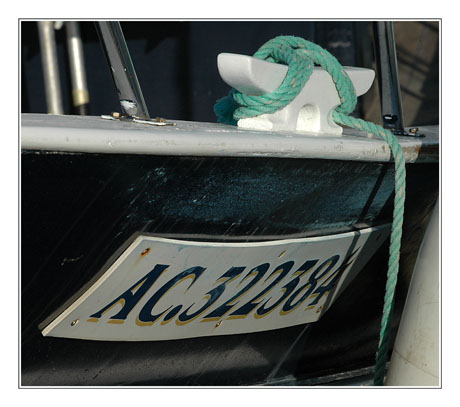 BLOG-DSC_7500-immatriculation coque