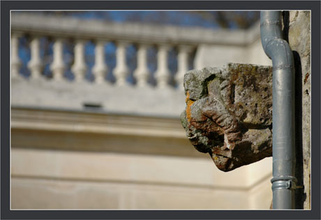 BLOG-DSC_7610-gouttière gargouille et balustrades