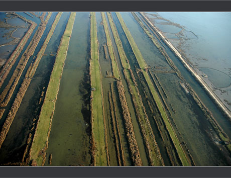 BLOG-DSC_7676-géométrie Certes