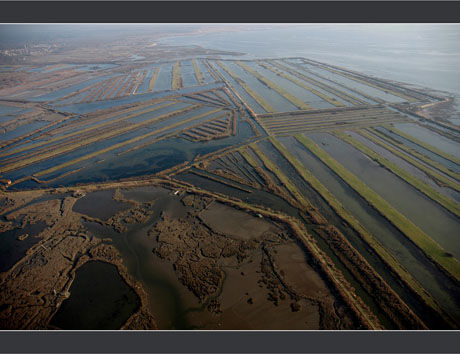 BLOG-DSC_7678-domaines de Certes et Graveyron, Audenge